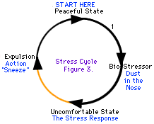 Niektoré stresové cykly sa ľahšie pohybujú ako iné.