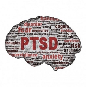 Trauma postihuje mozog odlišne u ľudí, u ktorých sa vyvinula PTSD. Ale nebojte sa, nastane zotavenie. Naučte sa, ako mozgy trpia PTSD pri traume. 