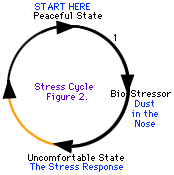 Niektoré stresové cykly sa ľahšie pohybujú ako iné