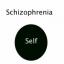 Oddeľovanie sa od schizofrénie